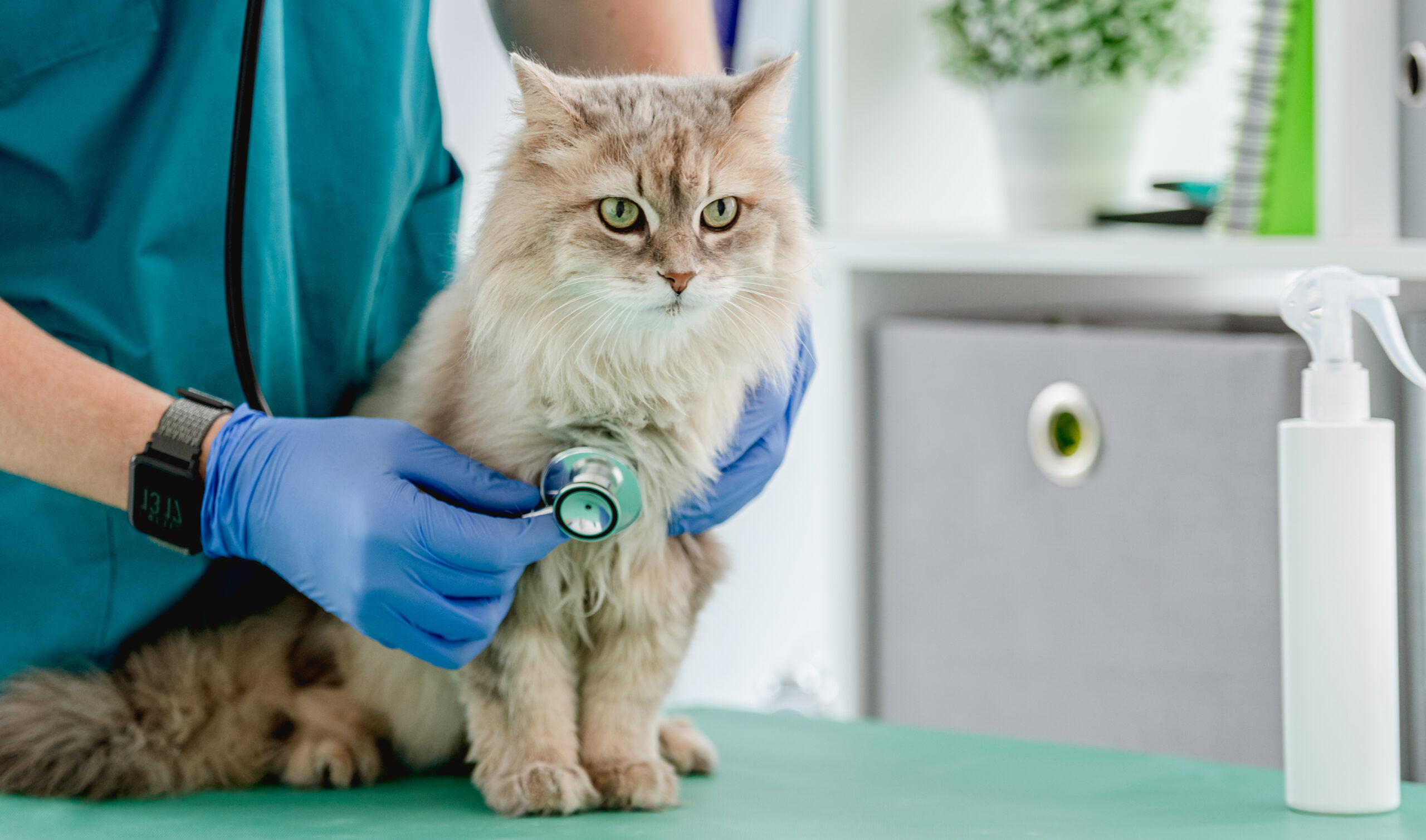 Emergency Symptoms in Yorba Linda, CA